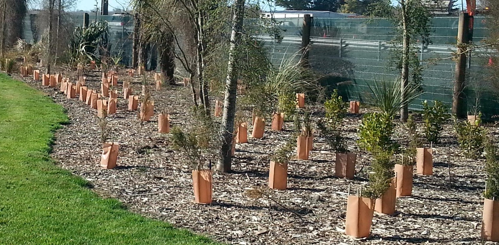 Horticultural Planter Bags New Zealand